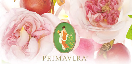 Primavera-Aromaölmassage Seminar