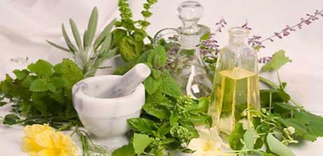 Ayurvedische Kräuter
