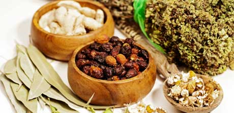 Ayurveda Ernährung Kräuter