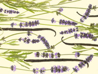 Lavendel Vanille Entspannungsbehandlung